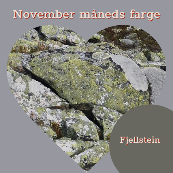 November måneds farge