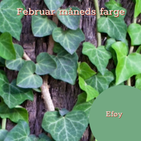 Februar måneds farge